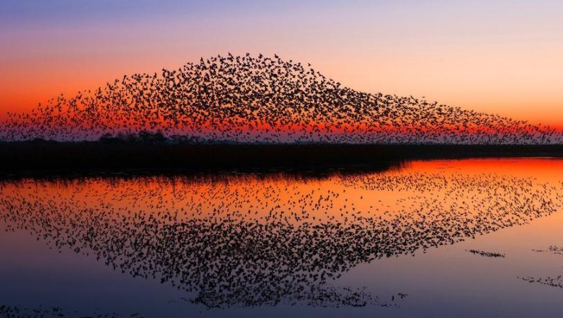 Black Sun at the Wadden Sea National Park