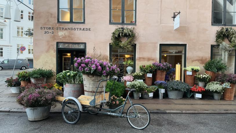 The outside of a flower shop with lots of flowers on an old bike