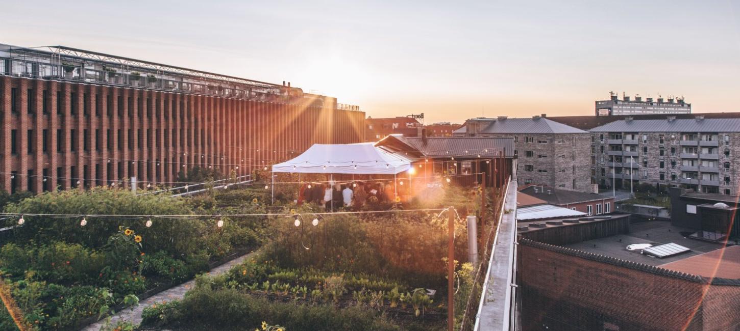 Østergro, Copenhagen