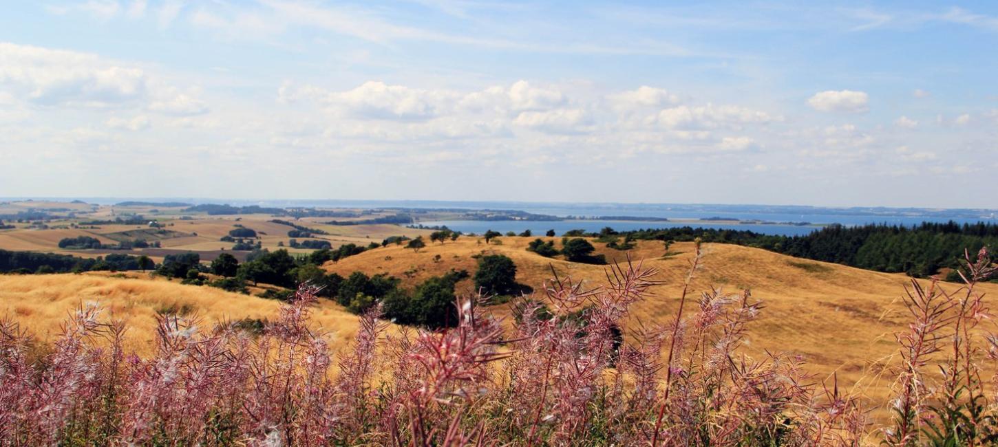 Mols Bjerge Djursland