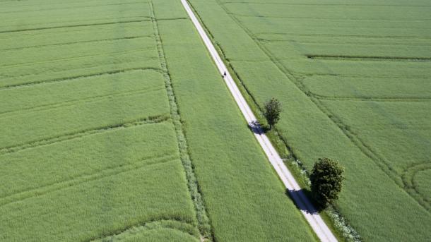 Cycling through the Guldborgsund Nature Reserve