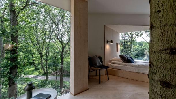 Utsikten fra innsiden av Løvtag Tretopphotell