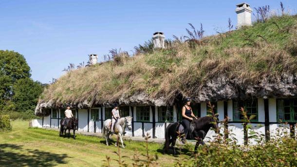 Traditioneel huis op Læsø met paarden