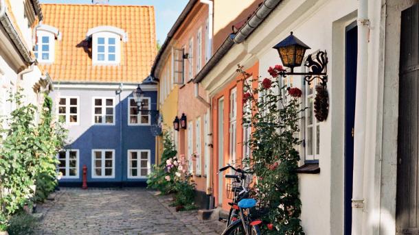 Stokkroser og sykkel i brosteinsgate i Hjelmerstald i Aalborg