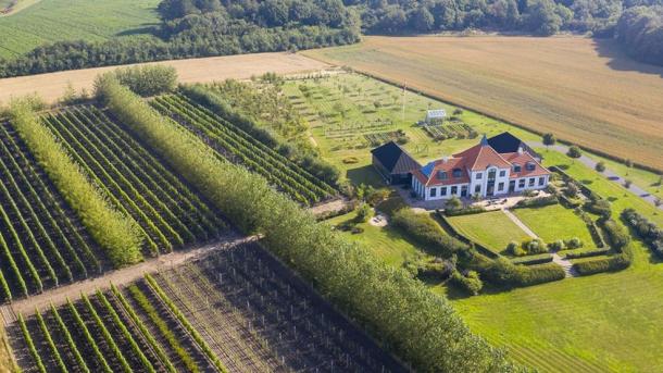 Nygaardsminde Vineyard