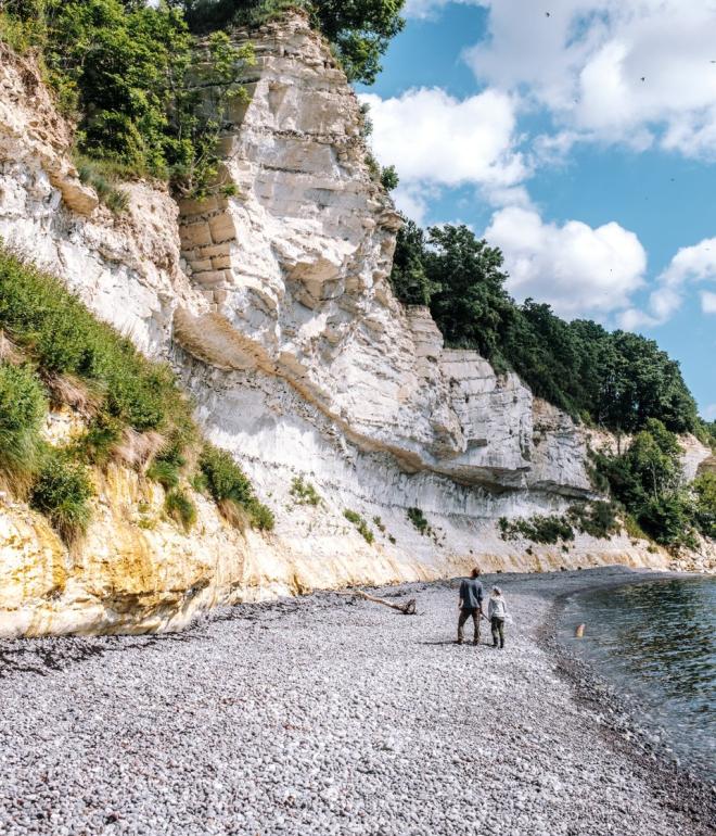 Far og sønn går på stranden i Stevn Klint