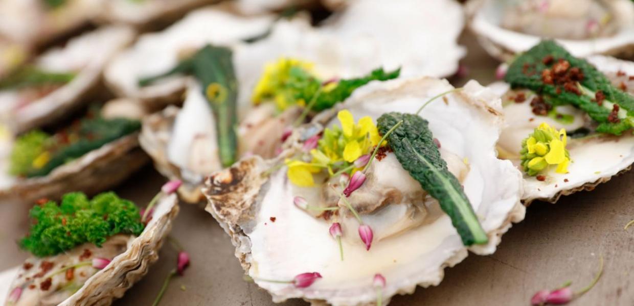 Upptäck den lokala delikatessen ostron på Nordjylland