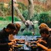 Restaurant mit Aussicht zum Pandagehege im Zoo Kopenhagen