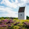 Sand-covered church - Den Tilsandede Kirke - in Skagen, North Jutland