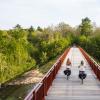 The Uncovered Bridge, The Coastal Land, Jutland