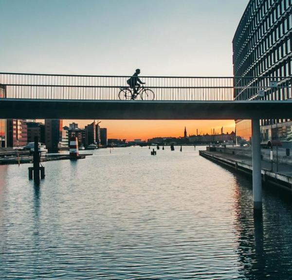 The Bicycle Snake a Copenaghen