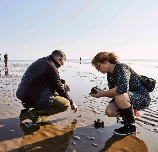 Oestersafari in Zuid-Jutland