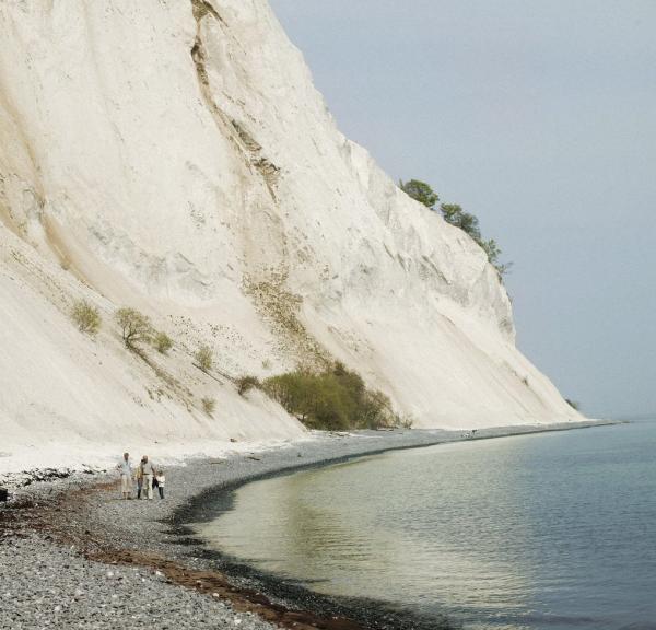 Denemarken vakantie? Ontdek de natuur nabij Kopenhagen, zoals Møns Klint