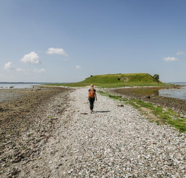 Een wandelaar verkent het schiereilandje Bolund Halvø in Nationaal Park Skjoldungernes Land in Denemarken 