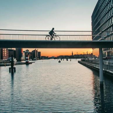 The Bicycle Snake a Copenaghen