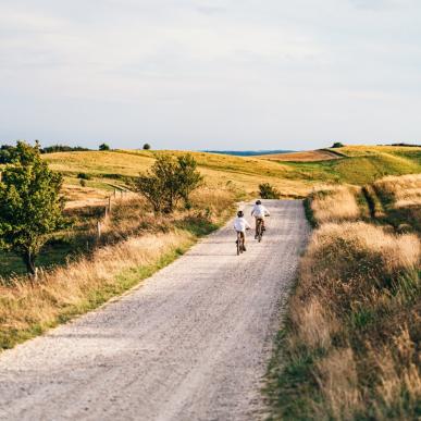 Kids biking in Mols Bjerge National Park, Djursland