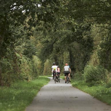 Biking in Vejle