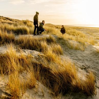 Family in dunes at Blåvand beach, West Jutland