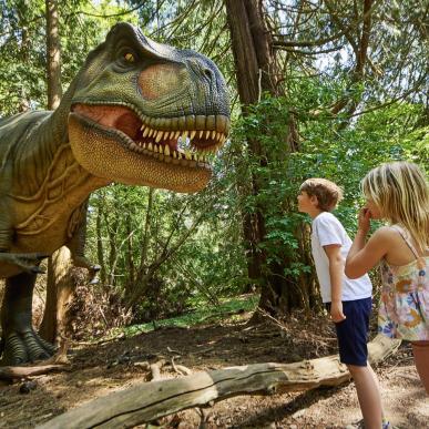 Knuthenborg Safaripark in Lolland-Falster, South Zealand