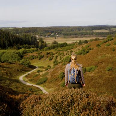 Person hiking in Rebild Bakker Park, North Jutland