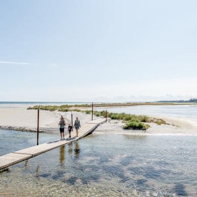 Himmerland walking path through the fjord.